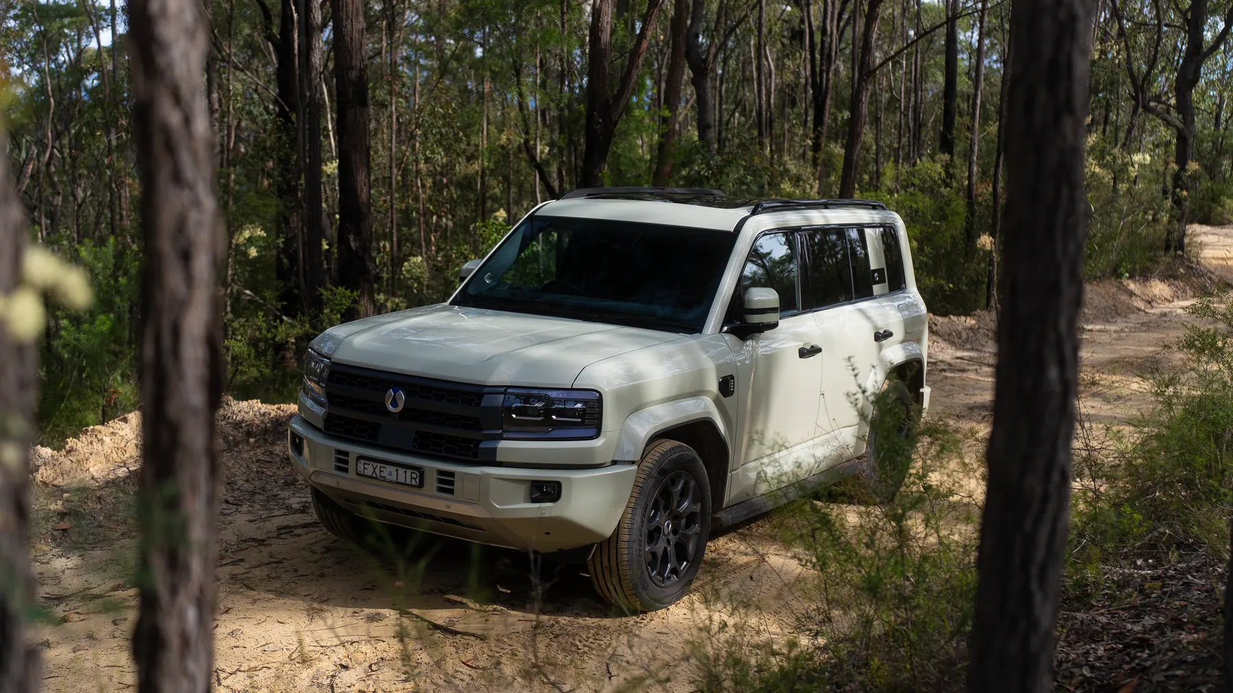 DENZA B5 Leopard among trees in dappled light, paintwork against bushland tones