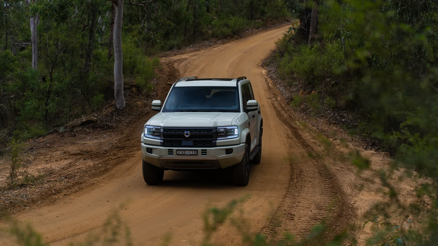 DENZA B5 Leopard driving away along a curving dirt road