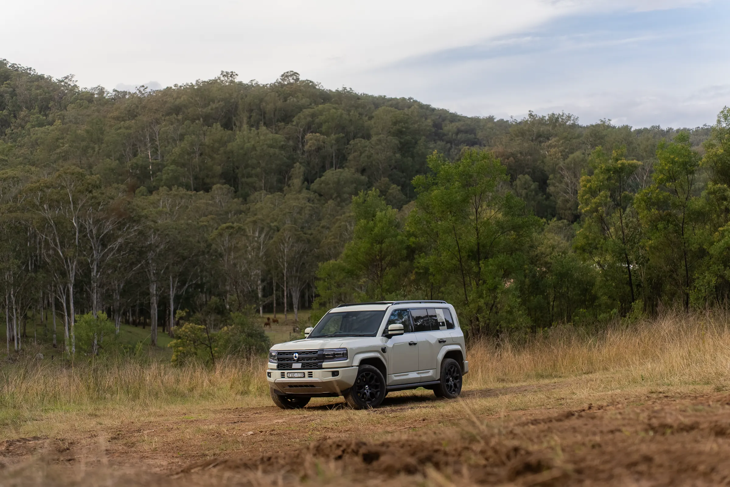 Wide shot, the B5 Leopard small in frame against forested hills