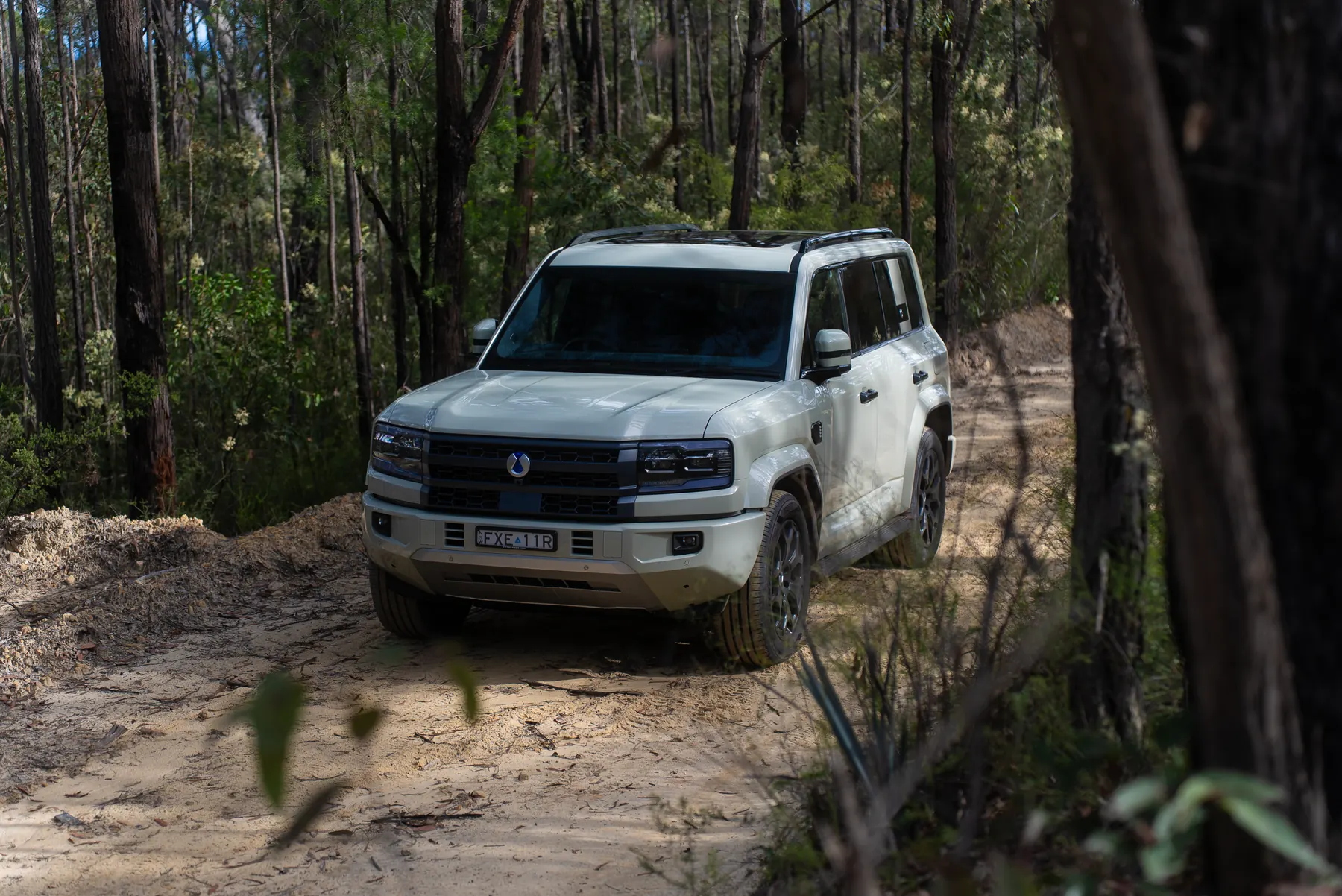 DENZA B5 Leopard on a dirt cutting in bushland